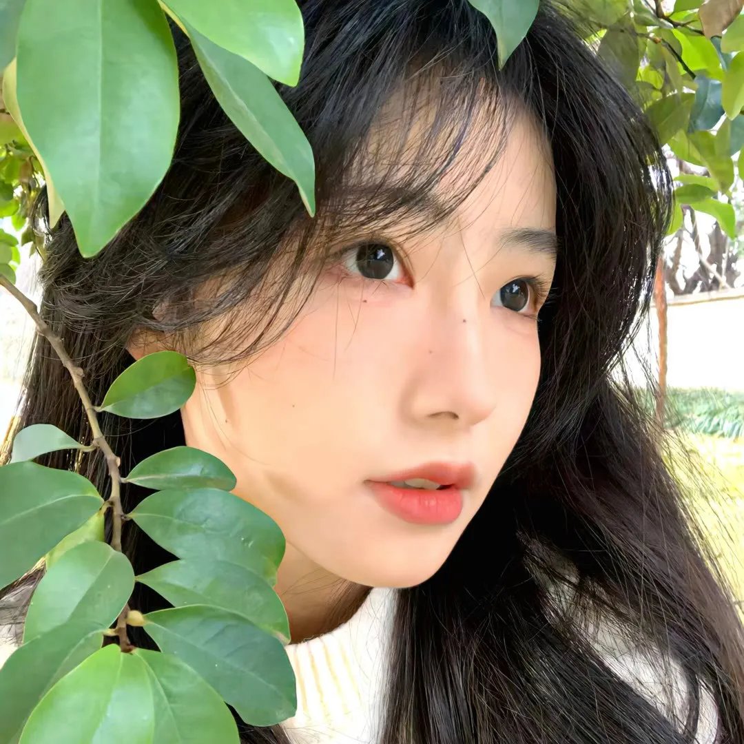 摧花狂魔